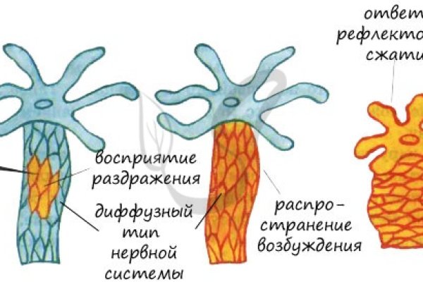 Кракен ссылка тор на сайт